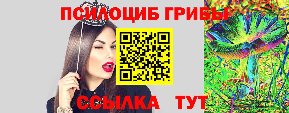 Псилоцибиновые грибы мухоморы Мичуринск