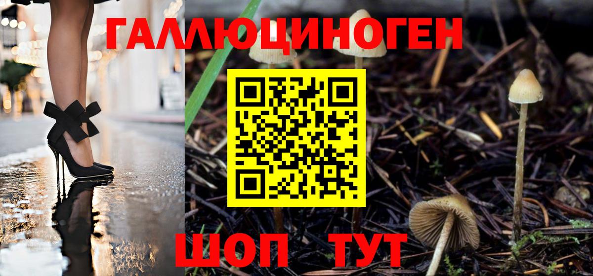 Галлюциногенные грибы Psilocybine cubensis  Вход с VPN  Мичуринск 